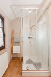 KüstenLandhotel Belitz Garni的浴室里设有玻璃门淋浴