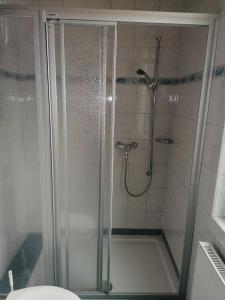 巴德加斯坦安娜别墅酒店的浴室里设有玻璃门淋浴
