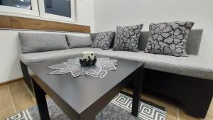 瓦列沃Apartmani Lukic Valjevo的客厅配有沙发和桌子