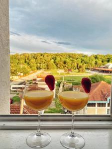 弗尔尼亚奇卡矿泉镇Apartmani Banja SPA的窗户前的两杯酒