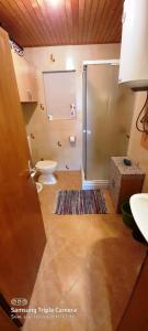 洛雷茨卡Apartment Summer Nest的带淋浴、卫生间和盥洗盆的浴室