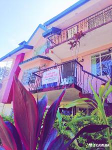碧瑶Amara Transient House的一座粉红色的建筑,设有阳台,并种植了植物