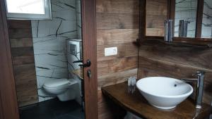 ShumnatitsaВила Перуле Villa Perule - Handmade cozy wooden villa in the Rhodope mountain的一间带水槽和卫生间的浴室