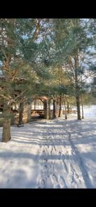 坎达瓦Dižpriedes的一座有树木和建筑物的雪覆盖的院子