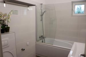 莱斯诺夫Apartamente Bucegi的带淋浴、卫生间和盥洗盆的浴室
