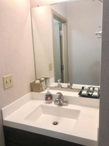 希利德纳里欧若拉汽车旅馆的一间带水槽和镜子的浴室