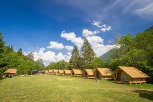 博维茨Adrenaline Check Camping的树木林立的帐篷