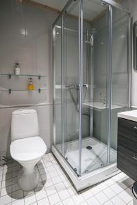 列维Levi Black Apartments的带淋浴、卫生间和盥洗盆的浴室