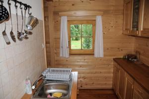 博希尼Gorska hiška Vogar nad Bohinjskim jezerom的小屋内的厨房设有水槽和窗户