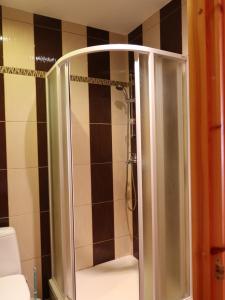 坎达瓦Dižpriedes的浴室里设有玻璃门淋浴