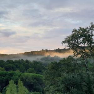 卡尔卡松Charmant Studio proche Lac et Forêt的远处森林的雾景