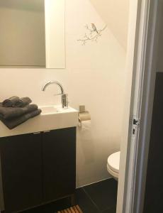 鹿特丹Appartement Rotterdam Noord的一间带水槽和卫生间的浴室