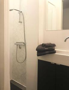 鹿特丹Appartement Rotterdam Noord的带淋浴和盥洗盆的浴室