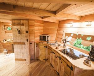 圣迪耶Gaïa - Les Cabanes du Chêne Rouvre的小木屋内的厨房配有水槽和微波炉