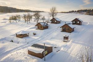 HoczewDomki Pod Roztóczką的小屋享有雪覆盖的田野的空中景致