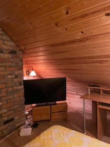 奥格雷Pirtiņa的客厅设有木墙,配有平面电视。