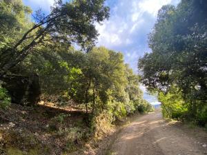奥列纳鲁坎达提皮卡萨科尔特民宿的两边有树木的土路