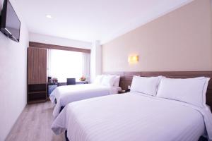 克雷塔罗Crown Victoria Hotel的酒店客房设有两张床和电视。