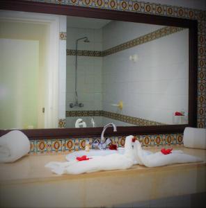 比塞大艾因马里亚姆公寓的两个天鹅坐在镜子前的浴室台上