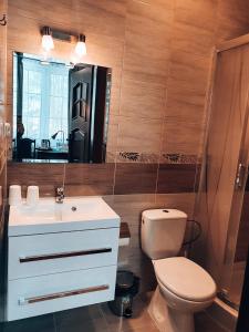 Lubycza KrólewskaHotel "XAVIER"的一间带卫生间、水槽和镜子的浴室