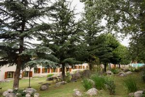 塔菲德尔瓦勒塔菲酒店的一座花园,在一座建筑前有树木和岩石