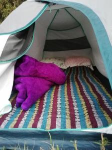 马迪凯里Coorg River Rock Camping的躺在帐篷里的床上的紫色填充动物