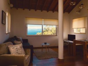 圣罗克杜皮库Quinta das Almas的带沙发和大窗户的客厅