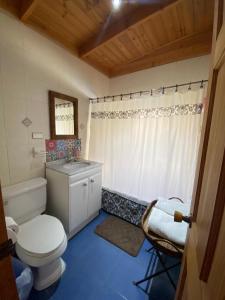 皮斯科艾齐Pisco Elqui HolidayHome的一间带卫生间和水槽的浴室