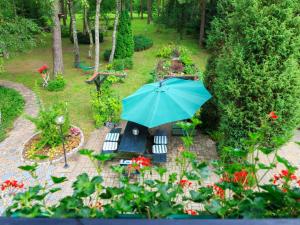 达尔沃沃Lovely Apartment in Rusko with Pool Garden的享有带蓝伞的花园的顶部景致