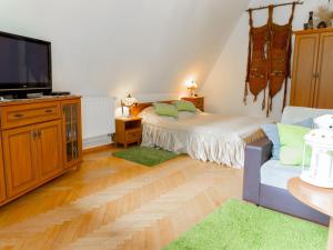 达尔沃沃Lovely Apartment in Rusko with Pool Garden的一间卧室配有一张床和一台平面电视