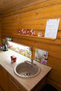 阿格洛纳"Čiekuri"的木制柜台上带水槽的浴室