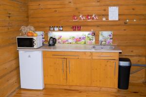 阿格洛纳"Čiekuri"的厨房配有水槽和微波炉