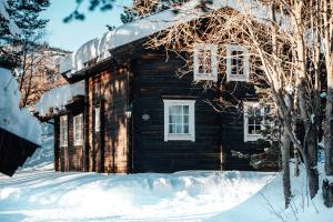 耶卢Bardøla Fjelltun的雪地小木屋