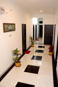 乌代浦Amritchandra homestay and hostel的植物栽培的建筑走廊
