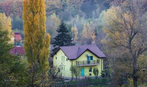 Schitu-TopolniţeiPensiunea HAPPY的森林中一座黄色房子,屋顶紫色