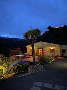 圣布里希达La cara Luna的夜晚在房子前面的棕榈树