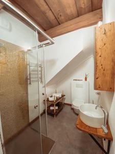 拉脱维亚Villa Gaida的带淋浴、卫生间和盥洗盆的浴室