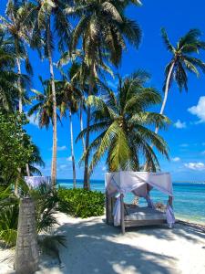图鲁斯杜Samura Maldives Guest House Thulusdhoo的棕榈树海滩上的帐篷