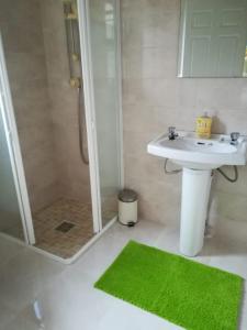 阿基尔Greystone House的浴室设有水槽和带绿色地毯的淋浴。