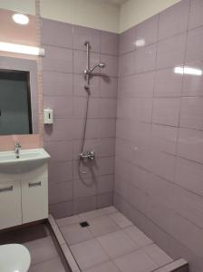 佩特里奇BeLApartment的带淋浴和盥洗盆的浴室