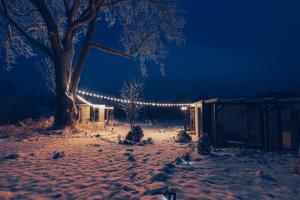 杜什尼基-兹德鲁伊Magic Places 57-340的雪覆盖的院子,有树和圣诞灯