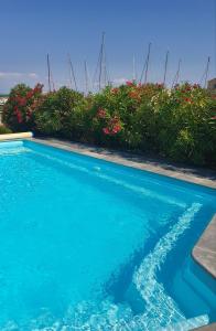 勒卡特La villa d elisa的一座拥有蓝色海水和鲜花的游泳池