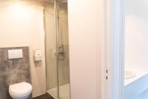 法尔肯堡辉特格酒店的带淋浴、卫生间和盥洗盆的浴室