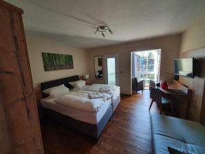 哈嫩克利博克斯维斯瓦尔德豪斯酒店的一间卧室配有一张床、一张书桌和一台电视