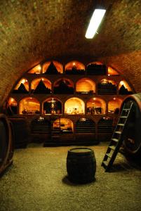 BadacsonyörsSipos Borház és Vendégház的酒窖,酒窖里放着酒桶和酒窖
