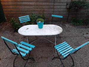 洪德洛Boshuis Turquoise / smaakvol genieten op de Veluwe的一张桌子,上面有三把椅子和盆栽植物