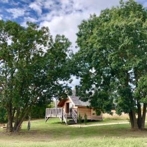 BersonShanti Lac Cabanes gîtes insolites et espace bien-être Bordeaux的小木屋,配有长凳和两棵树