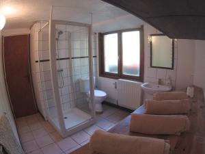 夏蒙尼-勃朗峰B&B Chalet Les Frenes的带淋浴、卫生间和盥洗盆的浴室