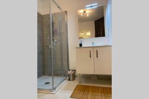 圣罗兰度瓦Deux pieces Moderne et Chaleureux的带淋浴、盥洗盆和镜子的浴室