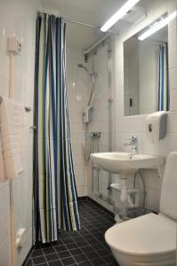 延雪平Svf Hotell & Konferens的一间带水槽、卫生间和淋浴的浴室